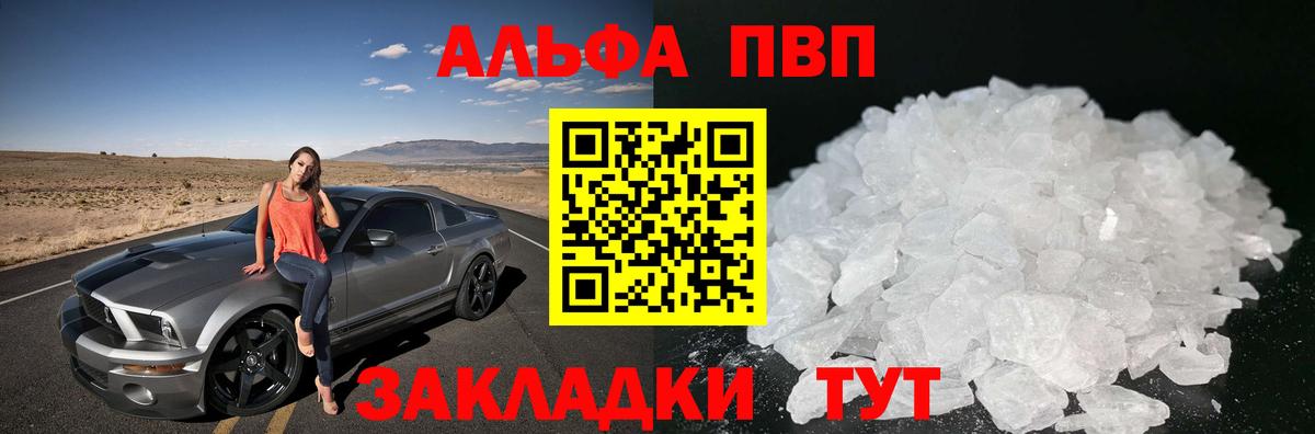A-PVP СК Вологда