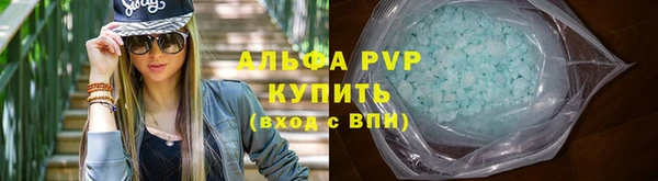 ПСИЛОЦИБИНОВЫЕ ГРИБЫ Козловка