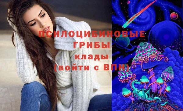 герыч Алексин