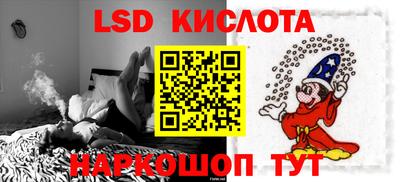 шишки Можга