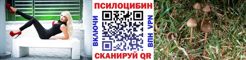 Галлюциногенные грибы ЛСД  Вологда 