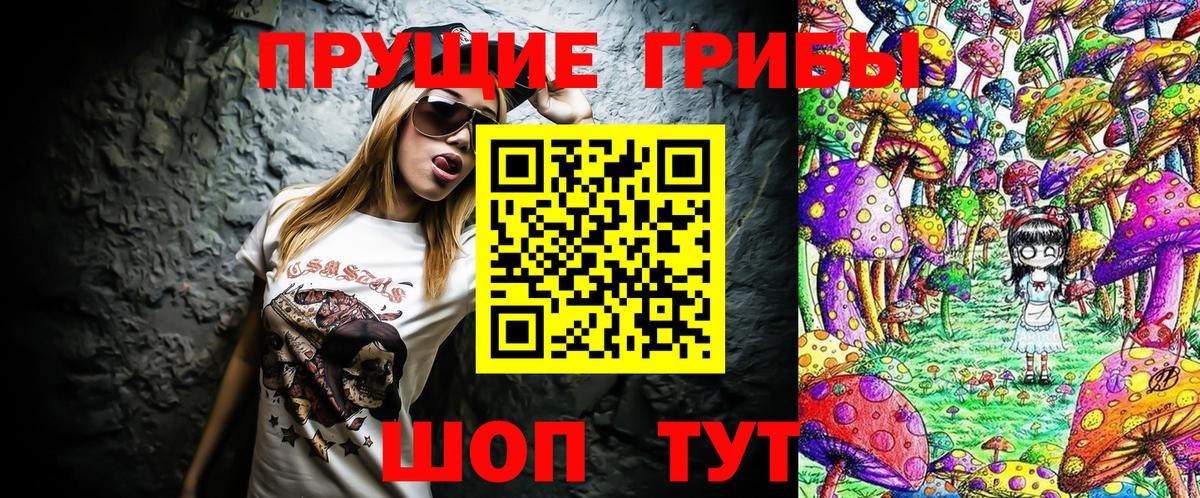 Вологда  Псилоцибиновые грибы Psilocybe  Вход с VPN 