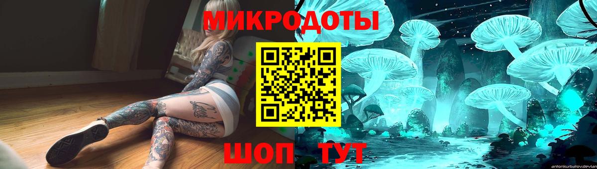 Псилоцибиновые грибы мицелий Вологда