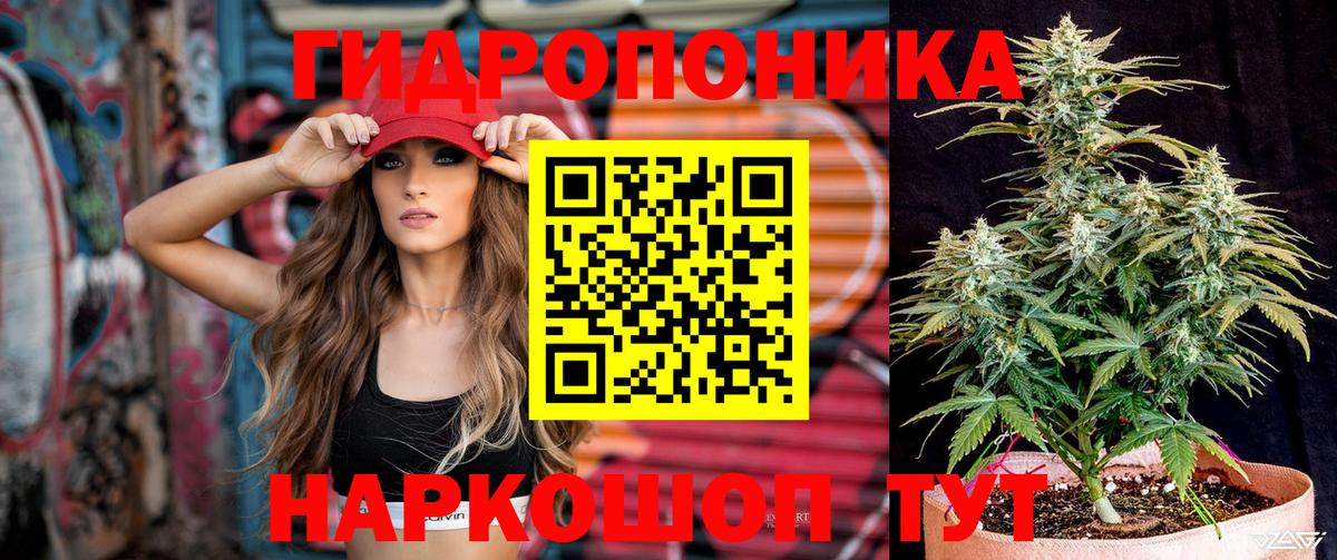 Вологда  Конопля тримм  Каннабис Ganja  Вход с VPN 